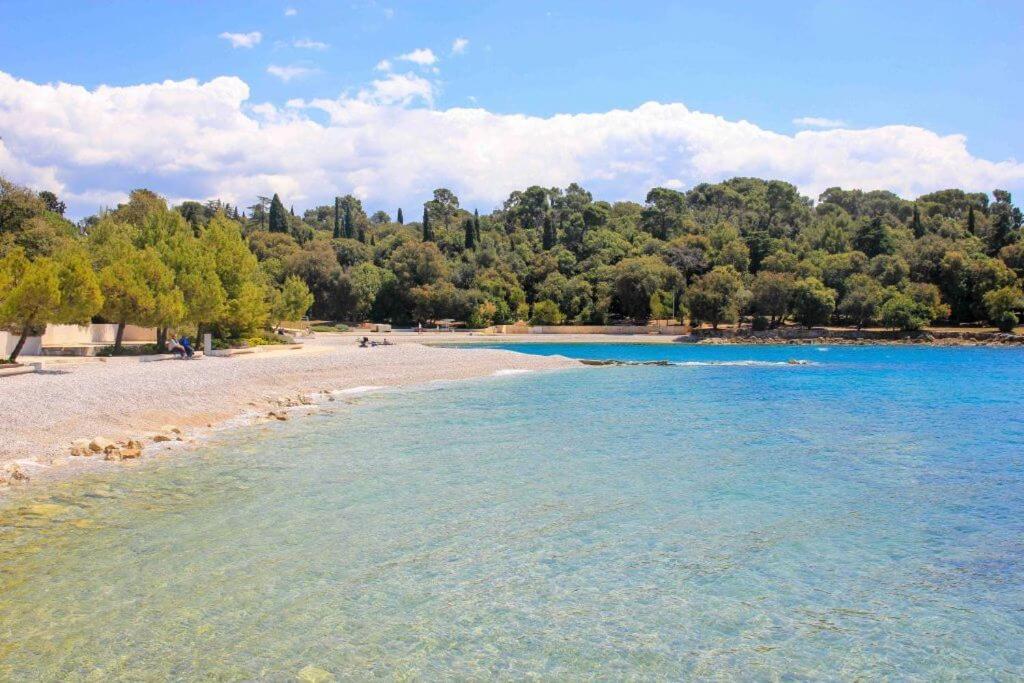 Vila Una With Private Pool Near Rovinj - Open 2022 Rovinjsko Selo Exterior foto